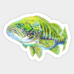Grouper Sticker